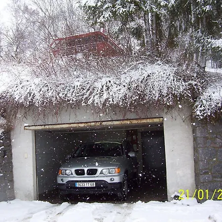 Contemporain Plein Nature