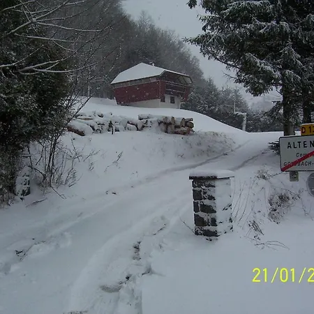 Contemporain Plein Nature *